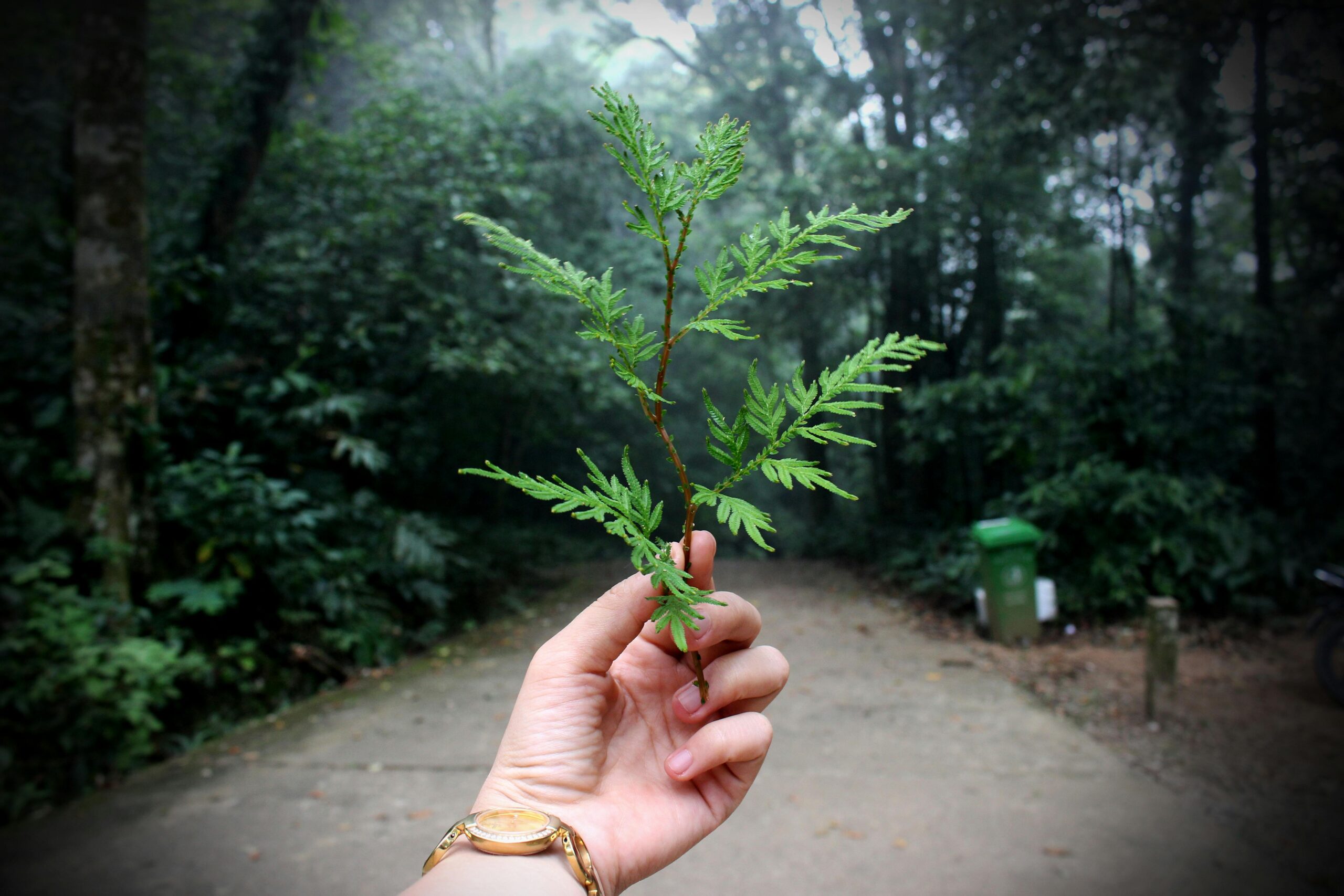 How to Avoid Greenwashing: Spotting False Claims in Ethical Fashion
